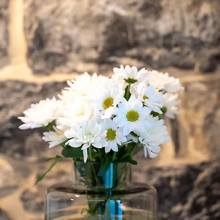 Διαμέρισμα 1500 Όπως